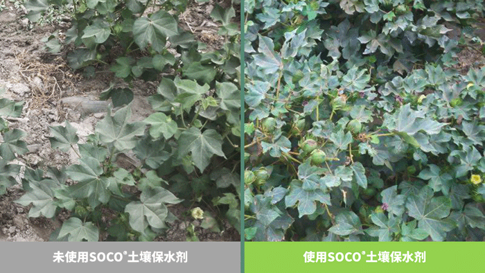 赢彩吧859cc(中国)官方网站